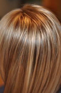 Dark brown and white hair highlights